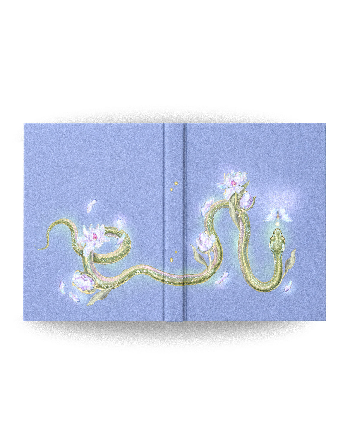 Book Cover Design - Illustration Only