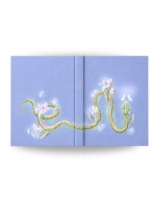 Book Cover Design - Illustration Only