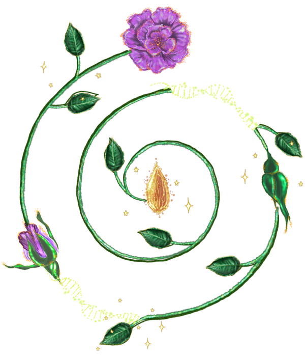 Lilly Prinz Illustration & Design